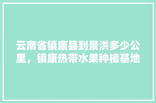 云南省镇康县到景洪多少公里，镇康热带水果种植基地在哪里。