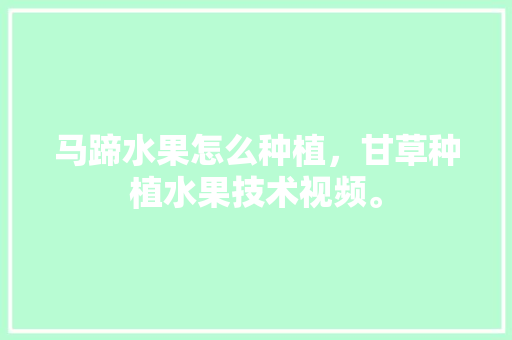 马蹄水果怎么种植，甘草种植水果技术视频。