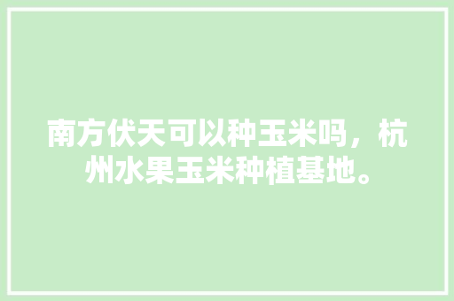 南方伏天可以种玉米吗，杭州水果玉米种植基地。