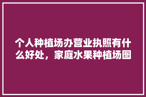 个人种植场办营业执照有什么好处，家庭水果种植场图片。