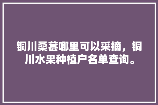 铜川桑葚哪里可以采摘，铜川水果种植户名单查询。