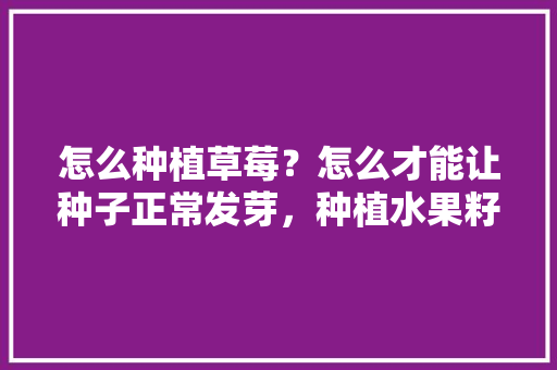 怎么种植草莓？怎么才能让种子正常发芽，种植水果籽视频教程。