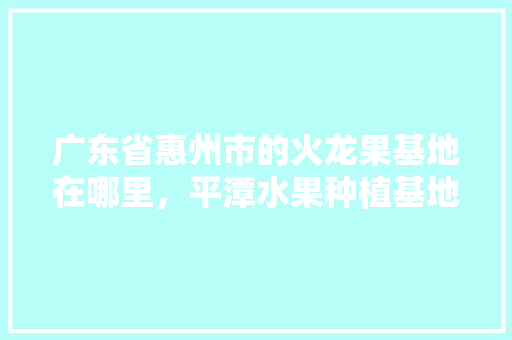 广东省惠州市的火龙果基地在哪里，平潭水果种植基地在哪里。