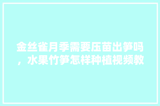 金丝雀月季需要压苗出笋吗，水果竹笋怎样种植视频教程。