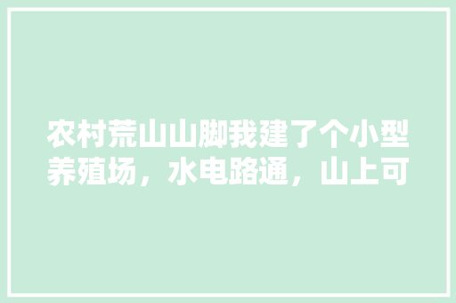 农村荒山山脚我建了个小型养殖场，水电路通，山上可以种点什么呢，山坡水果种植项目建设方案。