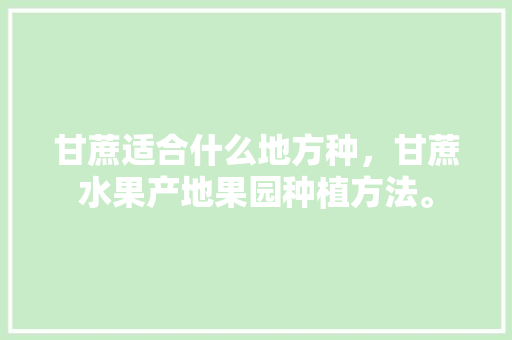 甘蔗适合什么地方种，甘蔗水果产地果园种植方法。