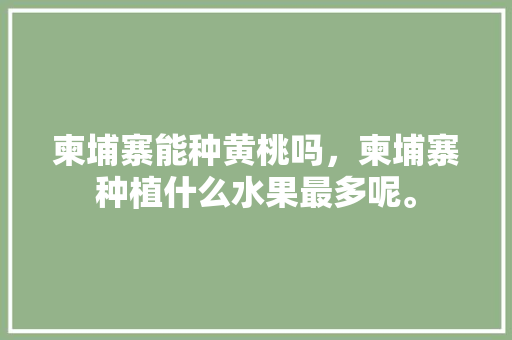 柬埔寨能种黄桃吗，柬埔寨种植什么水果最多呢。 水果种植