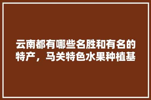 云南都有哪些名胜和有名的特产，马关特色水果种植基地在哪里。