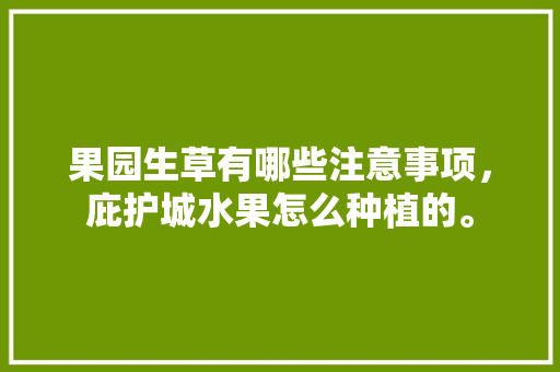 果园生草有哪些注意事项，庇护城水果怎么种植的。