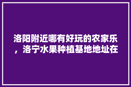 洛阳附近哪有好玩的农家乐，洛宁水果种植基地地址在哪里。