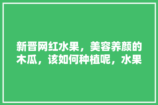 新晋网红水果，美容养颜的木瓜，该如何种植呢，水果该怎么种植方法视频。