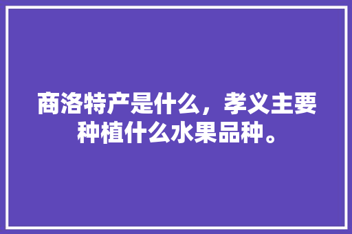 商洛特产是什么，孝义主要种植什么水果品种。