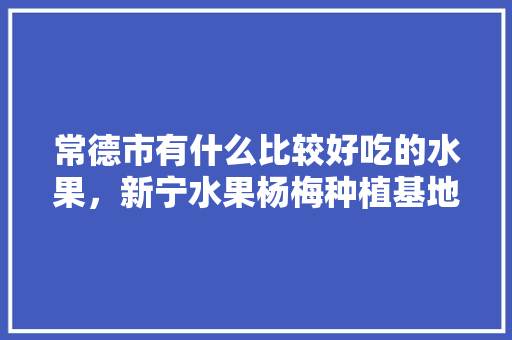 常德市有什么比较好吃的水果，新宁水果杨梅种植基地在哪里。