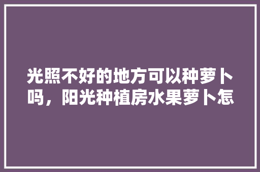 光照不好的地方可以种萝卜吗，阳光种植房水果萝卜怎么种。 水果种植