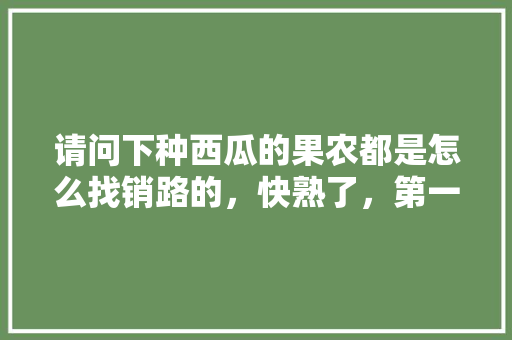 请问下种西瓜的果农都是怎么找销路的，快熟了，第一次种西瓜不懂，水果西瓜种植基地视频播放。