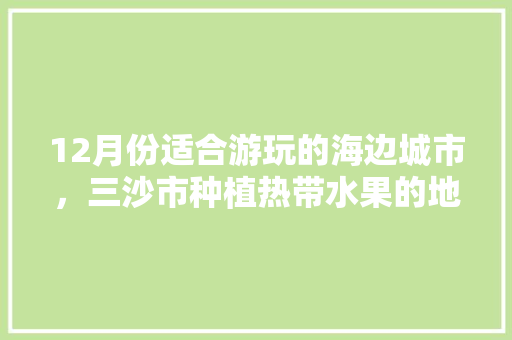 12月份适合游玩的海边城市，三沙市种植热带水果的地方。