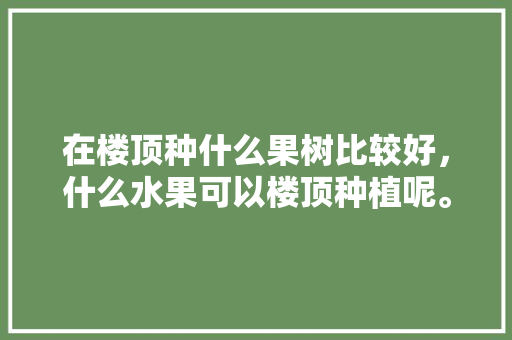 在楼顶种什么果树比较好，什么水果可以楼顶种植呢。