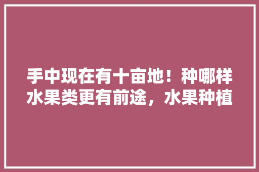 手中现在有十亩地！种哪样水果类更有前途，水果种植项目计划书怎么写。