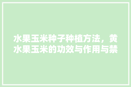 水果玉米种子种植方法，黄水果玉米的功效与作用与禁忌。