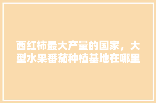 西红柿最大产量的国家，大型水果番茄种植基地在哪里。