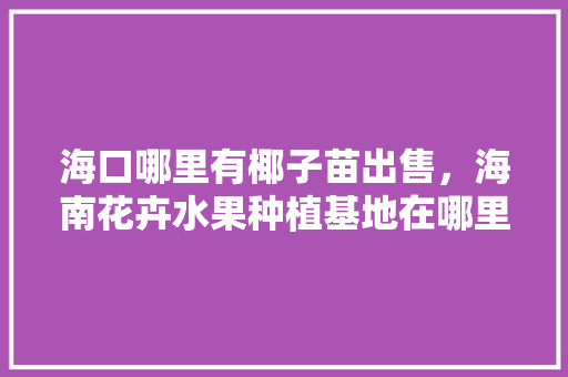 海口哪里有椰子苗出售，海南花卉水果种植基地在哪里。