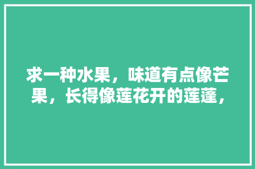 求一种水果，味道有点像芒果，长得像莲花开的莲蓬，有些地方俗称“山荔枝”，求图片，求大名，大名种植水果有哪些。 畜牧养殖