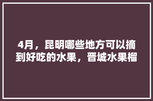 4月，昆明哪些地方可以摘到好吃的水果，晋城水果榴莲种植基地在哪里。