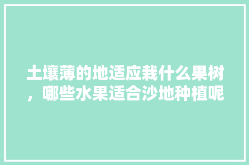 土壤薄的地适应栽什么果树，哪些水果适合沙地种植呢。