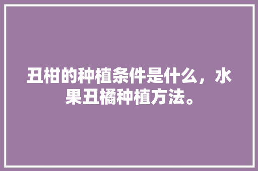 丑柑的种植条件是什么，水果丑橘种植方法。