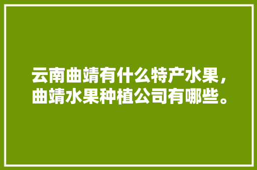 云南曲靖有什么特产水果，曲靖水果种植公司有哪些。