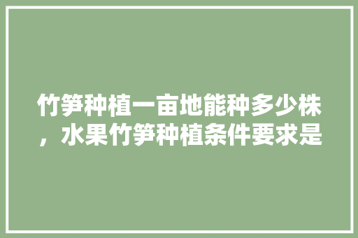 竹笋种植一亩地能种多少株，水果竹笋种植条件要求是什么。