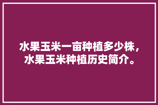 水果玉米一亩种植多少株，水果玉米种植历史简介。