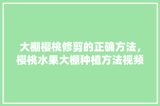 大棚樱桃修剪的正确方法，樱桃水果大棚种植方法视频。