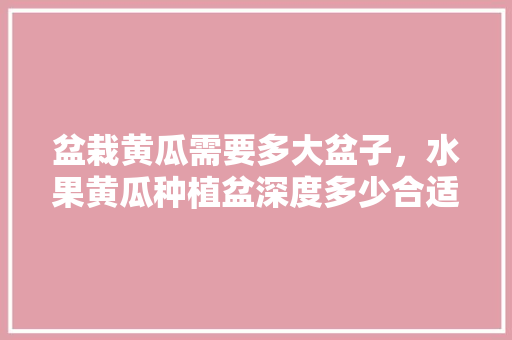 盆栽黄瓜需要多大盆子，水果黄瓜种植盆深度多少合适。