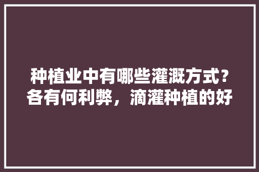 种植业中有哪些灌溉方式？各有何利弊，滴灌种植的好处水果有哪些。 水果种植