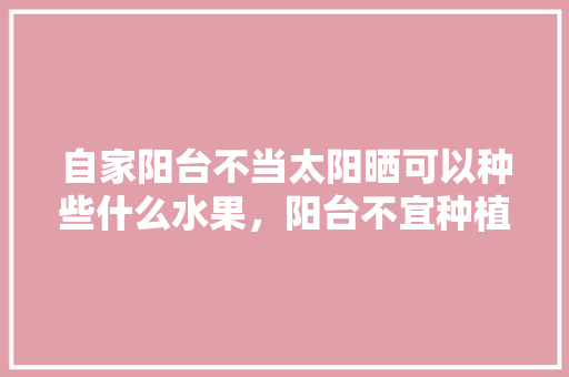 自家阳台不当太阳晒可以种些什么水果，阳台不宜种植什么水果树。