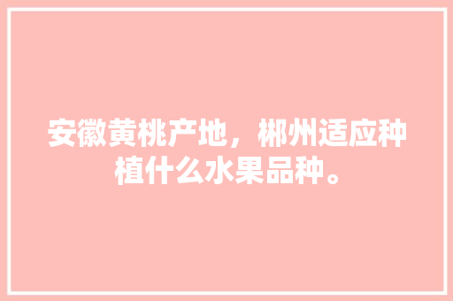 安徽黄桃产地，郴州适应种植什么水果品种。 土壤施肥