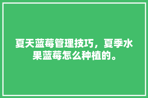 夏天蓝莓管理技巧，夏季水果蓝莓怎么种植的。