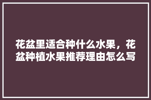 花盆里适合种什么水果，花盆种植水果推荐理由怎么写。