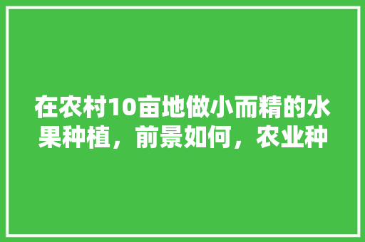 在农村10亩地做小而精的水果种植，前景如何，农业种植水果难不难做。