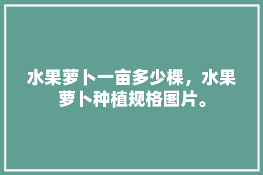 水果萝卜一亩多少棵，水果萝卜种植规格图片。