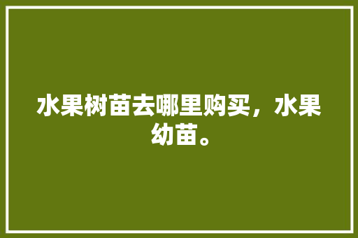 水果树苗去哪里购买，水果幼苗。