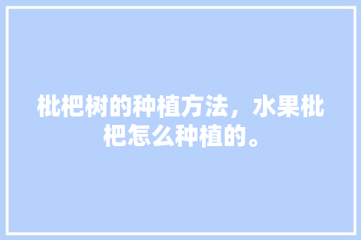 枇杷树的种植方法，水果枇杷怎么种植的。