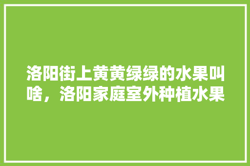 洛阳街上黄黄绿绿的水果叫啥，洛阳家庭室外种植水果有哪些。