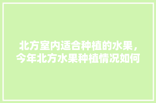 北方室内适合种植的水果，今年北方水果种植情况如何。