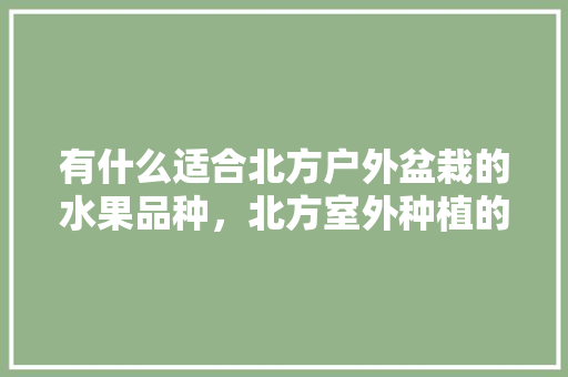 有什么适合北方户外盆栽的水果品种，北方室外种植的水果有哪些。