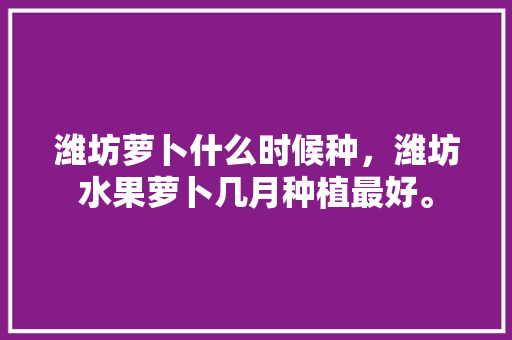 潍坊萝卜什么时候种，潍坊水果萝卜几月种植最好。