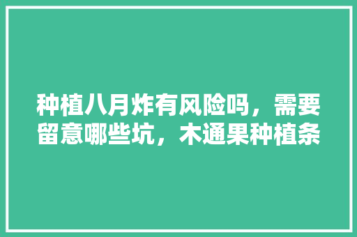 种植八月炸有风险吗，需要留意哪些坑，木通果种植条件。