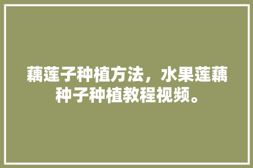 藕莲子种植方法，水果莲藕种子种植教程视频。