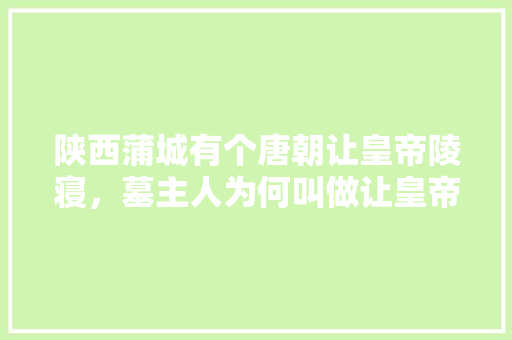 陕西蒲城有个唐朝让皇帝陵寝，墓主人为何叫做让皇帝？有何典故，蒲城元氏水果种植基地在哪里。